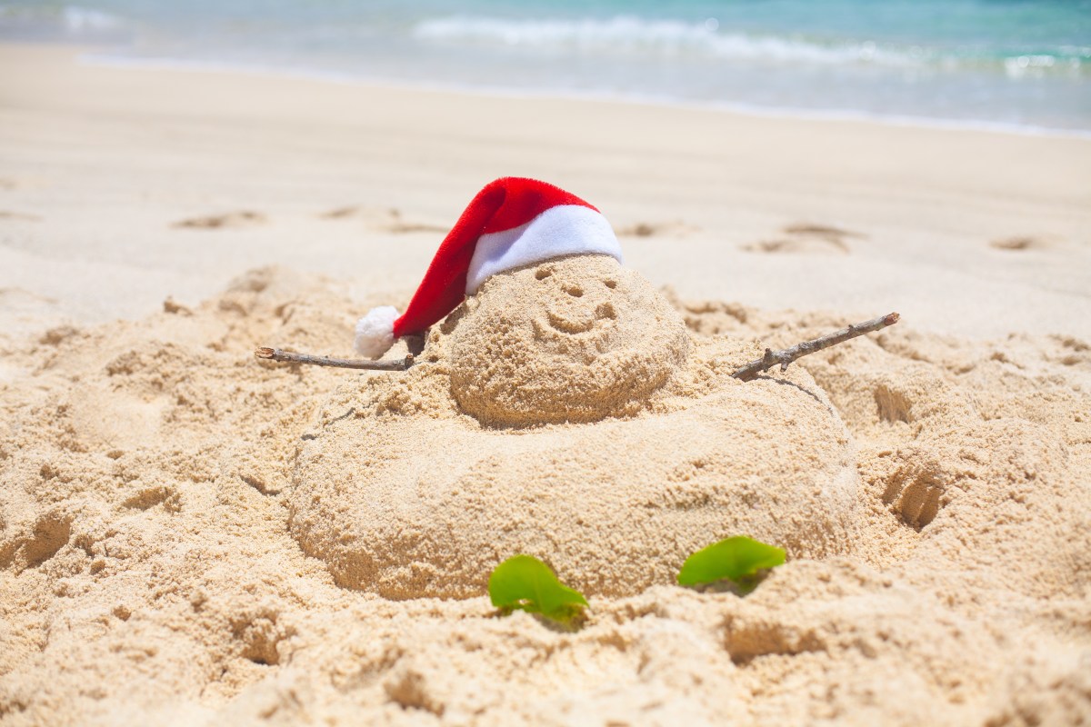 Finding Peace This Christmas: A Journey of&nbsp;Growth